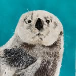 Lynn Shaffer - @customfingerpaintingandmore - Instagram