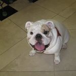Lynn Shapiro - @lfshapiro - Instagram
