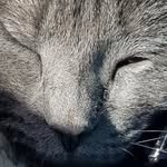 harlee lynn sheldon zarn - @harleelynnsheldon - Instagram