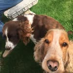 Lynn Shelley - @lynn.shelley.737 - Instagram