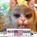 Lynn Shelley - Facebook
