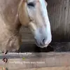 lynnsherwin - @lynnsherwin0 - TikTok