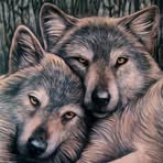 Lynn Shilling - Facebook