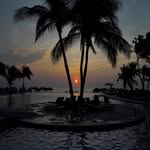 Lynn Shillingford - @lynnshillingford - Instagram