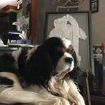 Lynn Shivers - @lynnshivers - Instagram