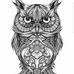 Lynn Shockley - Facebook