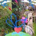 Lynn Shook Burch - Facebook