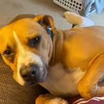 Lynn Shorter - @als58459 - Instagram