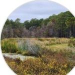Lynn Sigmon Foes - @__lynnfoes - Instagram