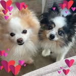 Kristen Mary-Lynn Sims Ball - @kristenmlball - Instagram