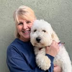 Lynn Sims - @lynnsims262 - Instagram