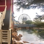 Lynn Sims - @lynnsimstravel - Instagram