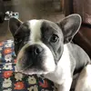 Lynn Sims - @user4896796902317 - TikTok