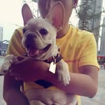 Lynn Sing - @lynn.sing - Instagram