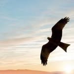 Lynn Singers - @lynnsingers - Instagram