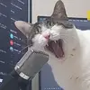 ⋆｡°🎤︎Lynnie🎤︎°｡⋆ - @lynn.sings - TikTok