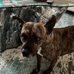 Jackie-Lynn Singh - @jackiels614 - Instagram