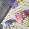 lynn - @lynnsipe_author - TikTok