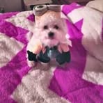 Lynn Sipe - Facebook