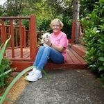 Lynn Sipe - @sipelynn3 - Instagram