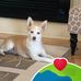 Lyn Sisson - Facebook