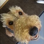 Lynn Sisson - @lsisson148 - Instagram
