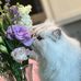 Lynn Sisson - Facebook