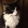 Lynnsky - @lynnskyt - TikTok