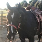 Lynette Soderquist - @lynettesoderquist - Instagram