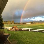 Lynn Soderquist - @lynnsoderquist - Instagram