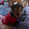 Lynn - @lynn_south - TikTok