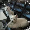 lynnsouthardpruet - @lynnsouthardpruet - TikTok