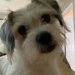 Darla Lynn Spangler - @darlalynn4dawin - Instagram