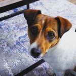 Lynne &Craig Spillane - @montesplane - Instagram