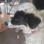 Lynn Spivey - @spivey823 - Instagram