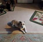 Lynn Spivey - Facebook