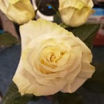 Lynn Spurgeon - @spurgeon.lynn - Instagram
