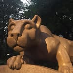 Lynn Steigerwald - @lynn.steigerwald - Instagram