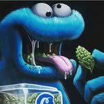 Nollynn Steigerwald - @nollynnsteigerwald - Instagram
