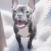 💞 Jennifer 💞 - @jenniferlynnstein - TikTok