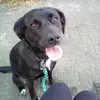 bella bäcker - @lynnstierwelt - TikTok
