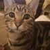 Lynn Stocks - Facebook