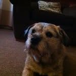 Lynn Stocks - @lynn3cats - Instagram