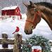 Lynn Storms-Russell - Facebook