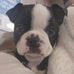 LynnDee Stowell - Facebook