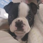 LynnDee Stowell - @lynndeestowell - Instagram