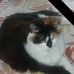 Lynne Straight - Facebook