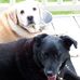 Lynn Stringer - Facebook