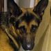 Lynne Strothers - Facebook