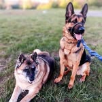 Lynne Strothers - @lynnestrothers - Instagram